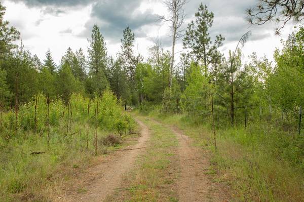 4110 Cemetery Tract AB Rd, Springdale, WA 99137