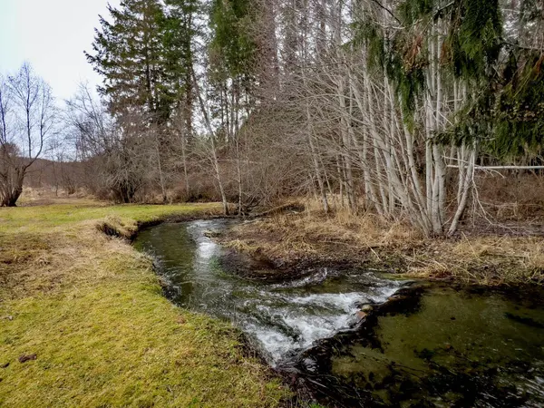 2063-A Marble Valley Basin Rd, Addy, WA 99101