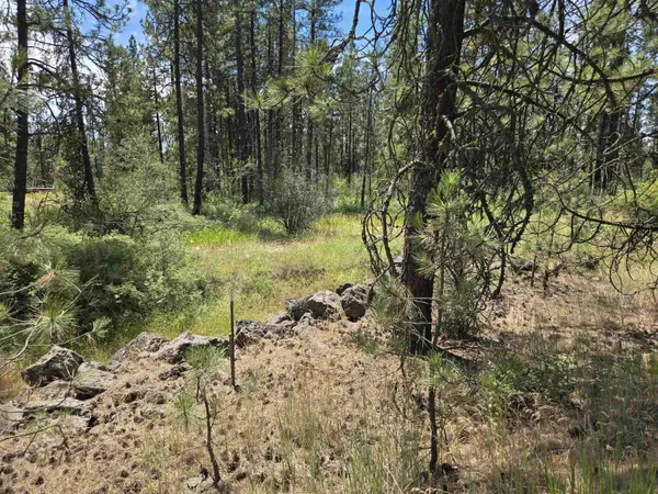 13711 W FARWELL Rd, Nine Mile Falls, WA 99026