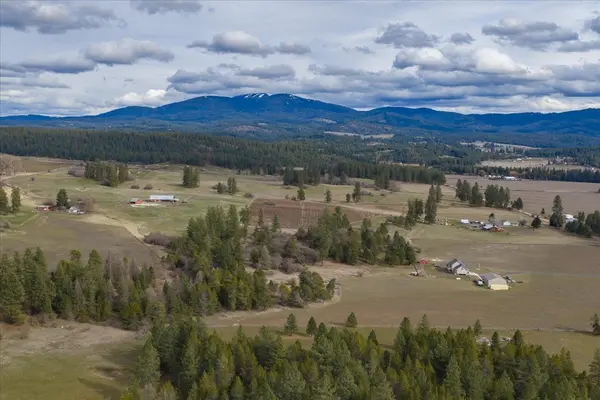28202 N Bruce Rd, Chattaroy, WA 99003