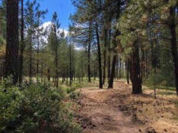 1213 FUMI Cir, Kettle Falls, WA 99141-9941