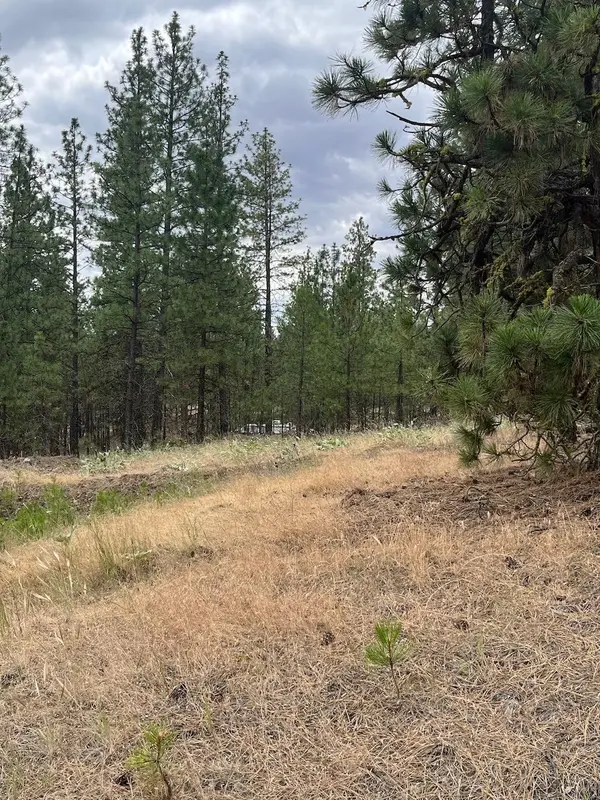 31676 Sontag Ridge E Dr, Davenport, WA 99122