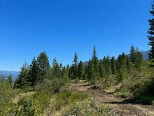 3634 N 25 Hwy, Northport, WA 99157