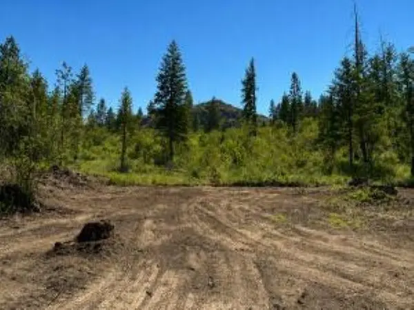 3634 N 25 Hwy, Northport, WA 99157