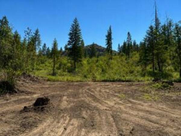 3634 N 25 Hwy, Northport, WA 99157