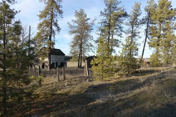 20xxx S Parker Rd, Spangle, WA 99031