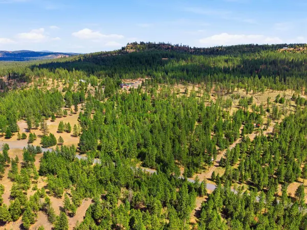 21517 W South Bank Rd, Nine Mile Falls, WA 99026