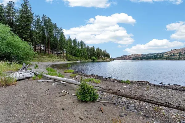 42049 Porcupine Bay N Rd, Davenport, WA 99122