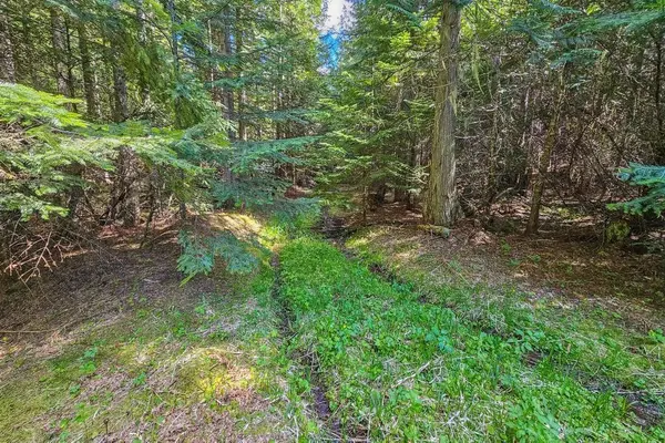 270 Lupine Ln, Newport, WA 99156