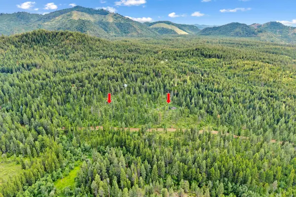 432X Bussard Lake Rd, Loon Lake, WA 99148