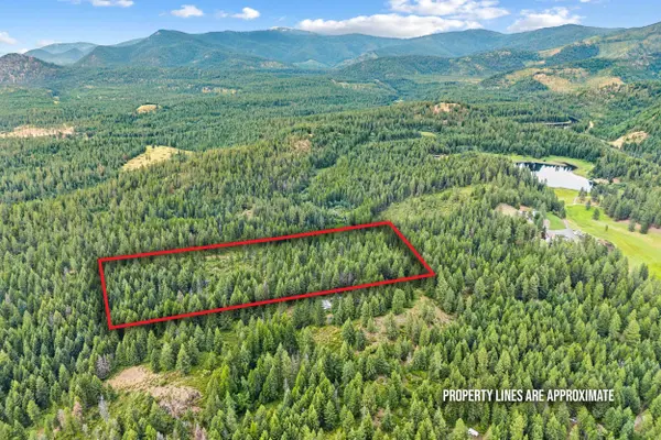 432X Bussard Lake Rd, Loon Lake, WA 99148