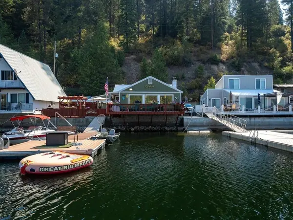 46999 E Deer Lake WAY, Loon Lake, WA 99148