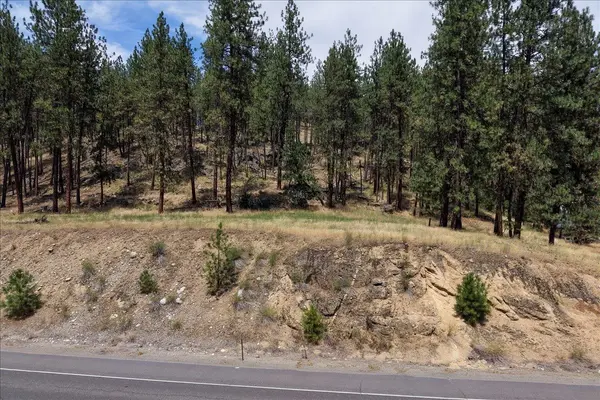 11XXX Nine Mile Rd, Nine Mile Falls, WA 99026