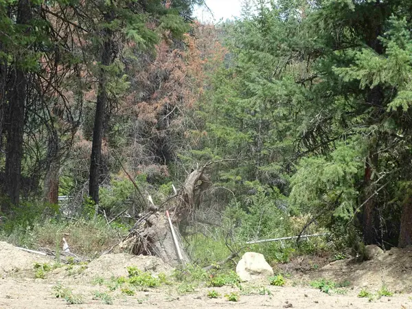 4482 Old E. Springdale Rd, Loon Lake, WA 99148-5141