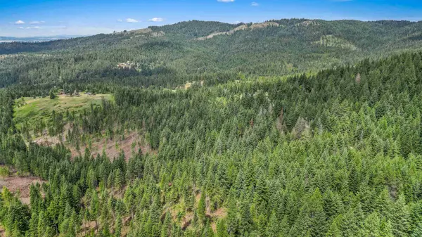 XXX N Deer Ln, Mead, WA 99021