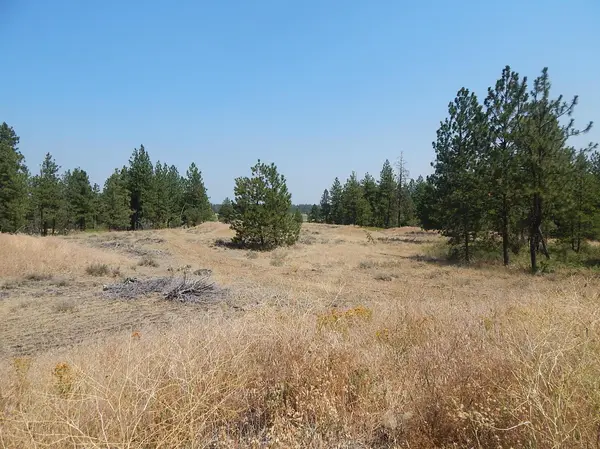249014 W Kitt Rd, Reardan, WA 99029