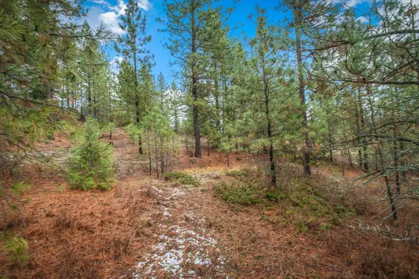 4425 Stonebrook WAY, Springdale, WA 99173