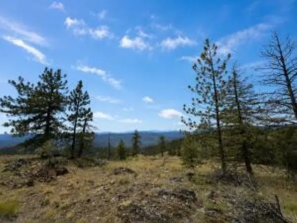 4XX #L Morning Star Ln, Inchelium, WA 99138