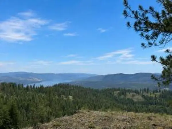 4XX #L Morning Star Ln, Inchelium, WA 99138