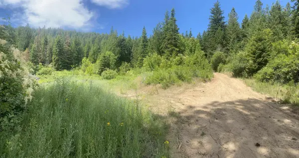 NNA E Deer Lake Rd, Loon Lake, WA 99148