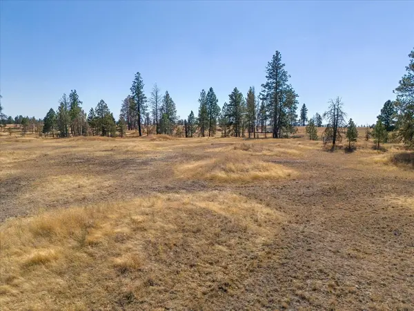 36377 S Bootstrap Ln, Cheney, WA 99004