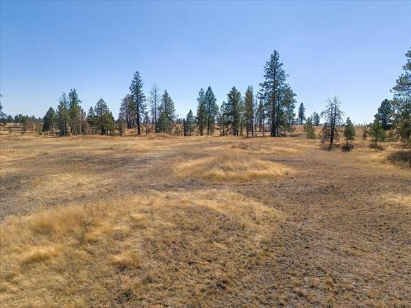 36377 S Bootstrap Ln, Cheney, WA 99004