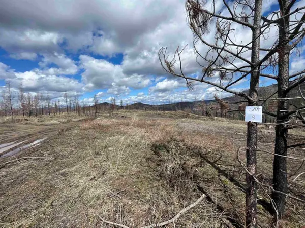 Lot 8 Rail Canyon Rd, Springdale, WA 99173