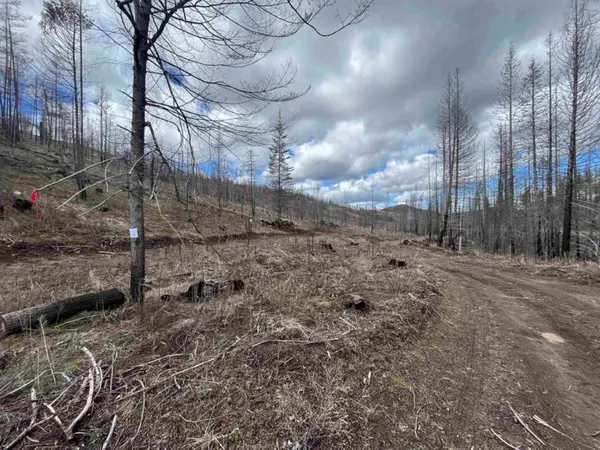 Lot 8 Rail Canyon Rd, Springdale, WA 99173
