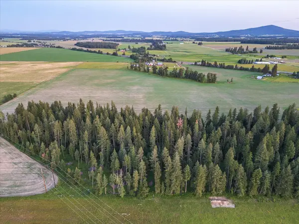 NKA Furze (Lot 4) Rd #Lot 4, Clayton, WA 99110