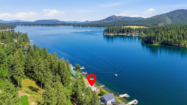 46273 Larson Beach Rd, Loon Lake, WA 99148