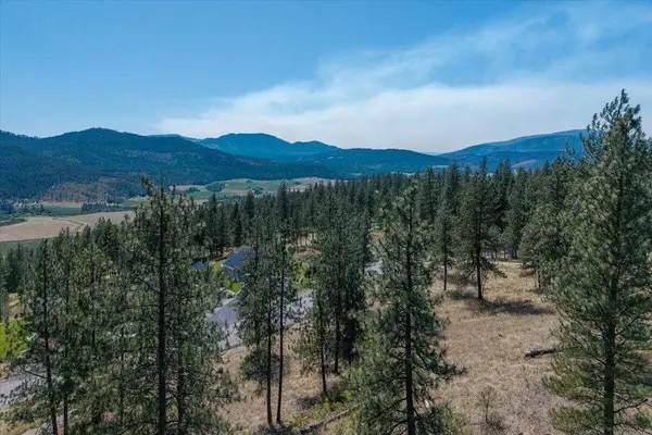 711 Palmer Ln, Chewelah, WA 99109