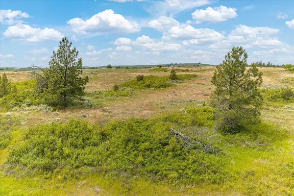 0 N Brooks Rd, Medical Lake, WA 99022