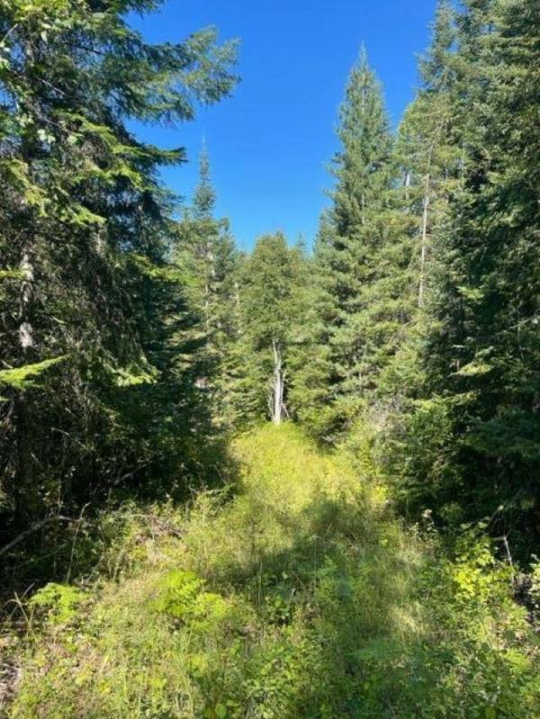 3XX Lot 11 N Leclerc Rd, Ione, WA 99139
