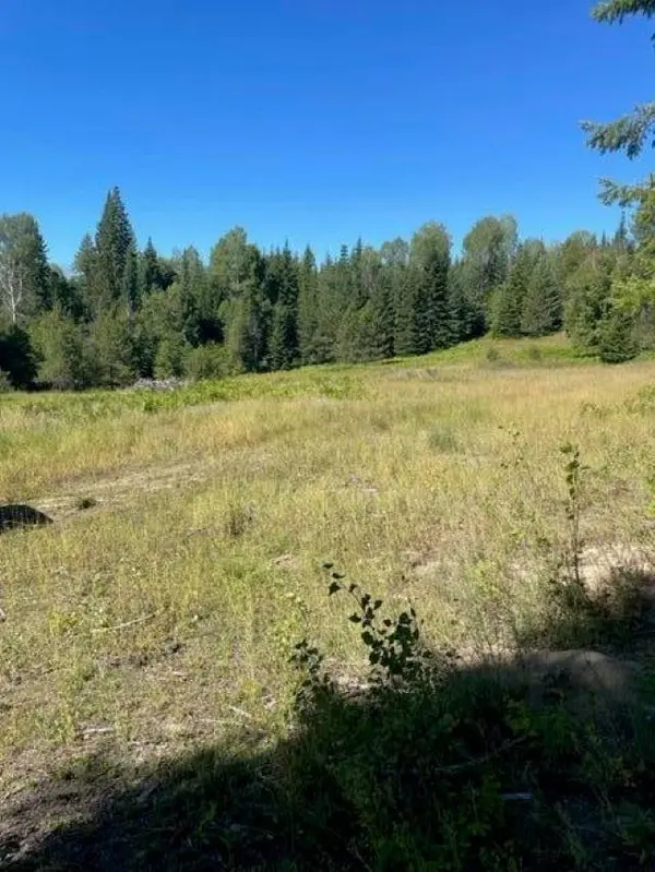 3XX Lot 12 N Leclerc Rd, Ione, WA 99139