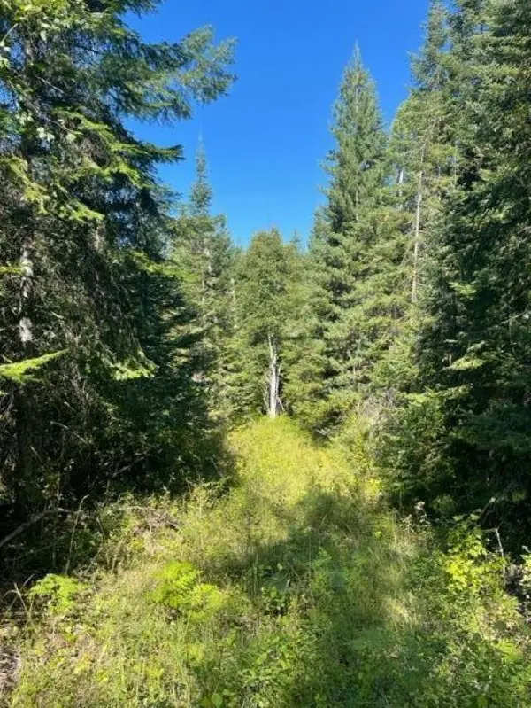 3XX Lot 13 N Leclerc Rd, Ione, WA 99139