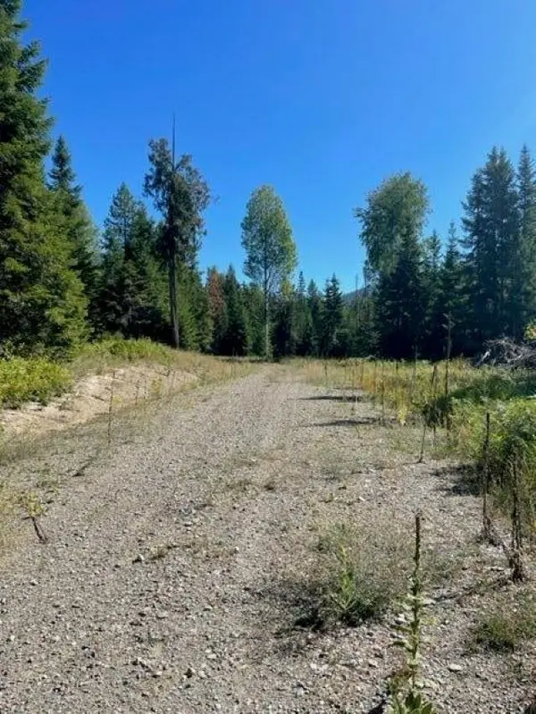 3XX Lot 13 N Leclerc Rd, Ione, WA 99139