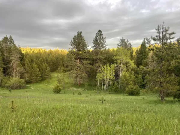4435 Whittier (Lot 2) Rd, Clayton, WA 99110