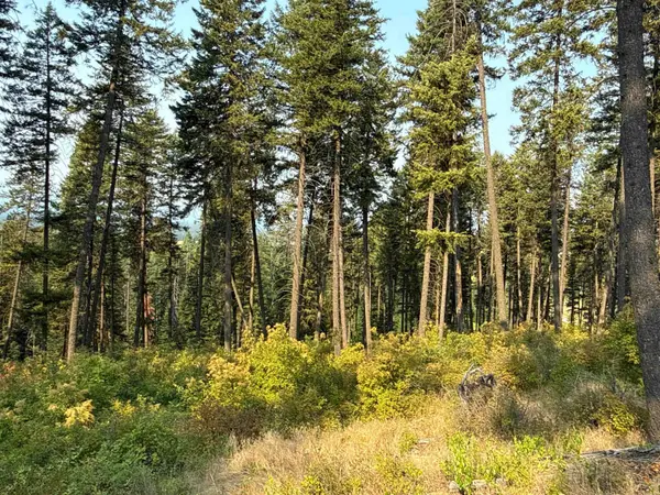 NKA Berry Rd, Usk, WA 99180
