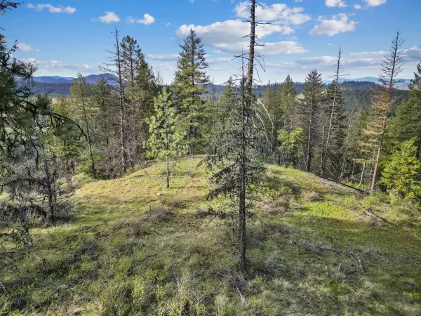 xxx Springdale Hunters Rd, Springdale, WA 99173