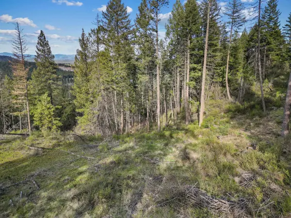 xxx Springdale Hunters Rd, Springdale, WA 99173
