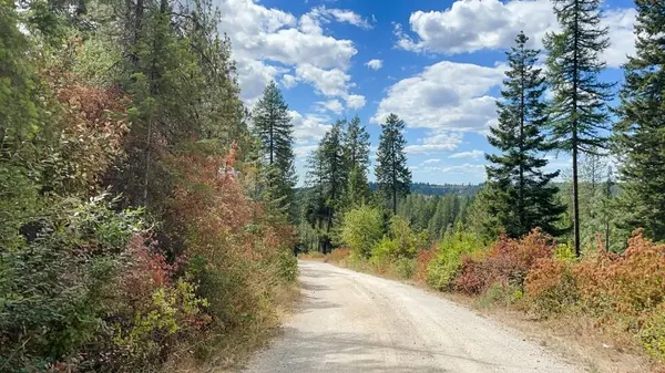 11618 E Dusty Ln, Chattaroy, WA 99003