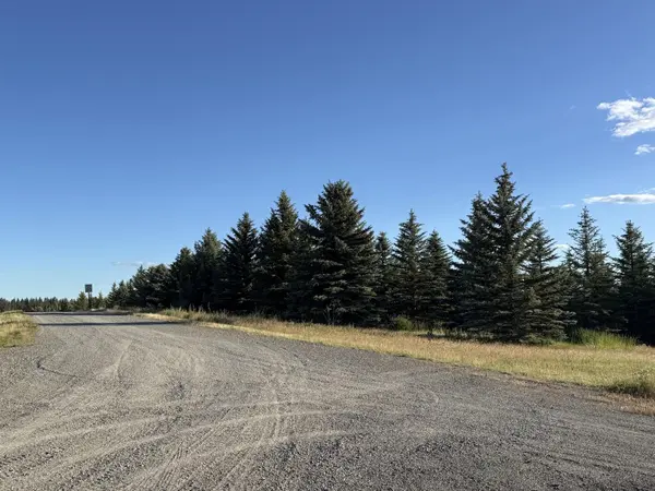 119XX S Spruce Tree Ln, Mica, WA 99023