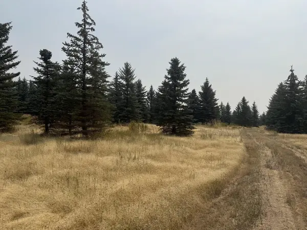 119XX S Spruce Tree Ln, Mica, WA 99023