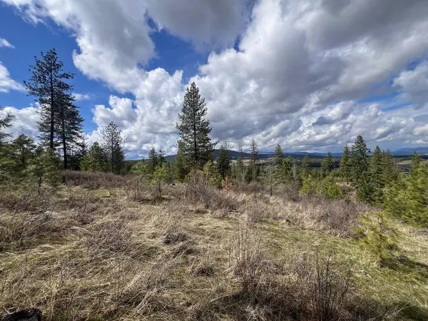 52XX Lot 8 Swenson Rd, Deer Park, WA 99006