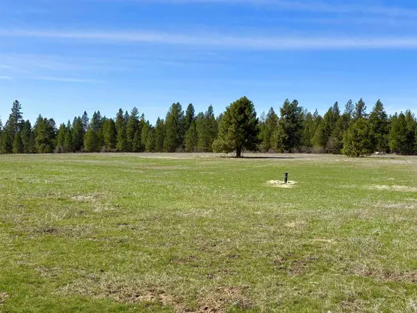 200 Brook Dr, Elk, WA 99009