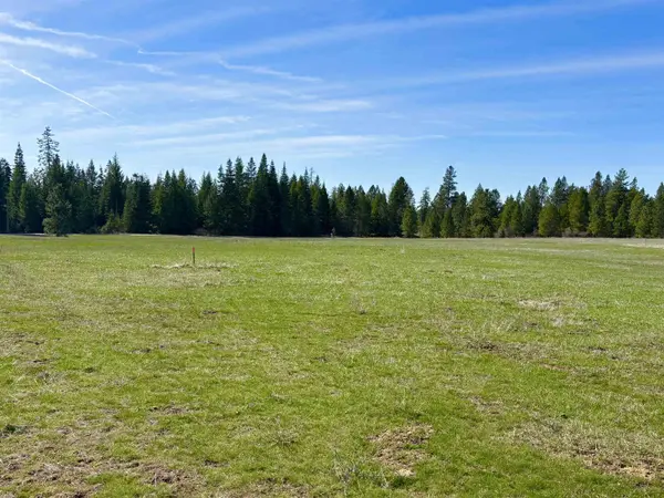 200 Brook Dr, Elk, WA 99009