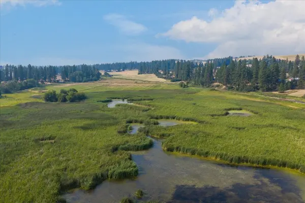 0000 S Murphy Rd, Cheney, WA 99004