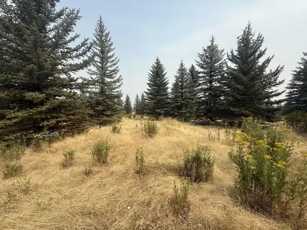 13XXX E Gibbs Rd, Mica, WA 99023