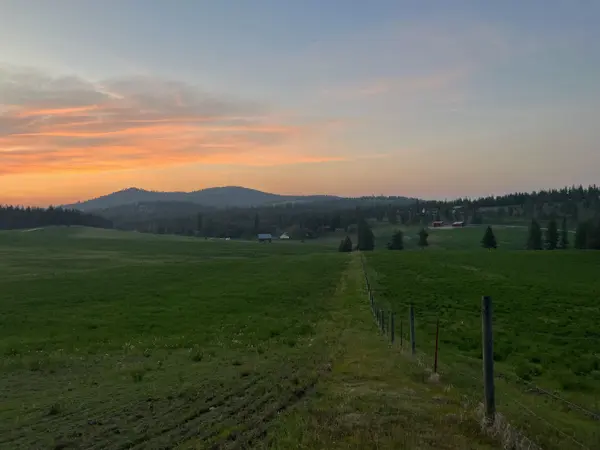 XXXX Rocky Top WAY, Deer Park, WA 99006