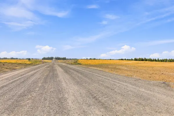 SOUTH LOT 1 000 S S DOVER Rd, Medical Lake, WA 99022
